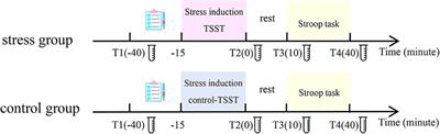 Stress-induced impairment reveals the stage and features of post-error adaptive adjustment